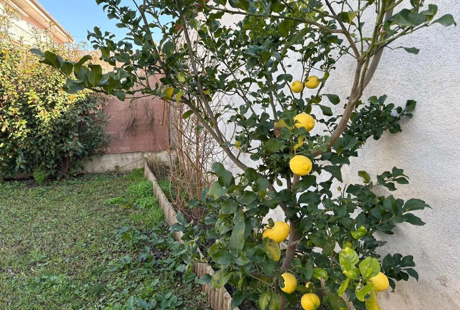 Flat With Garden Near Sea Apartamento Villeneuve-Loubet 0*,